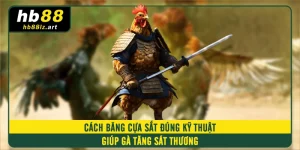 Cách Băng Cựa Sắt Đúng Kỹ Thuật Giúp Gà Tăng Sát Thương