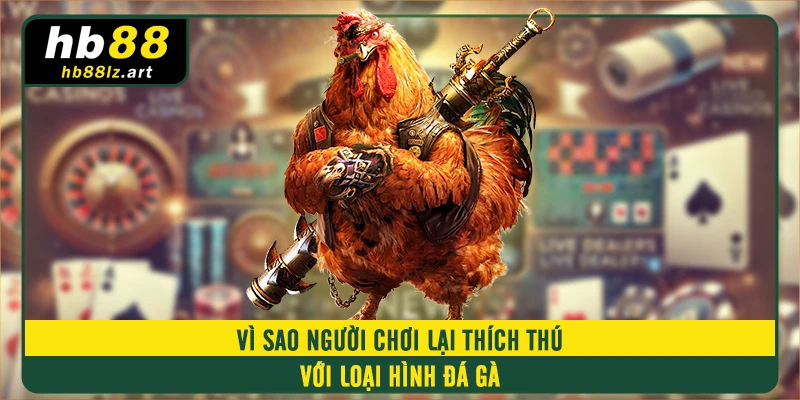 Vì sao người chơi lại thích thú với loại hình đá gà